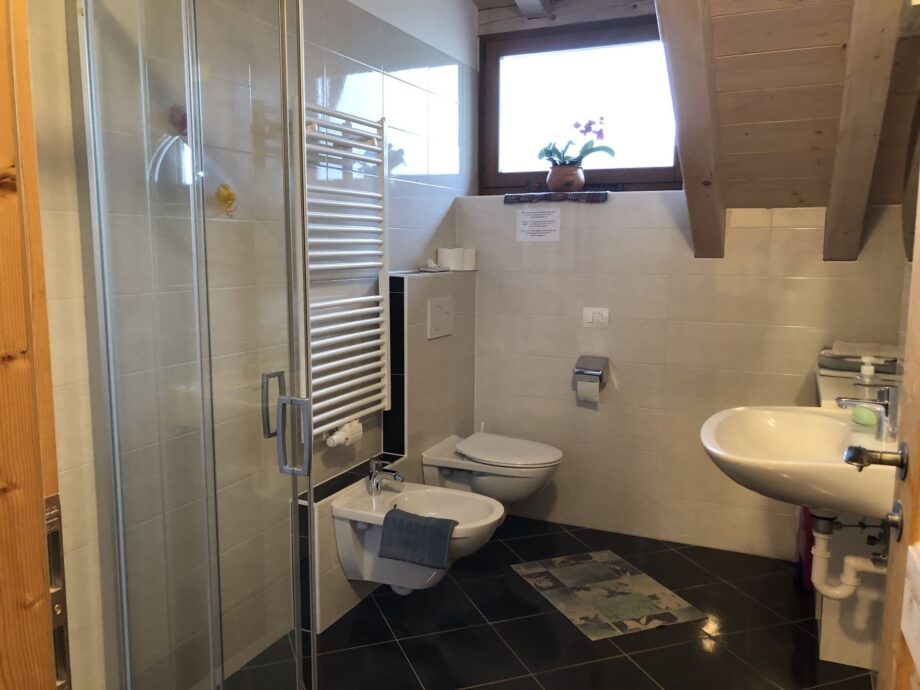 Bagno dell’appartamento Alpenrose con doccia, lavabo e scaldasalviette