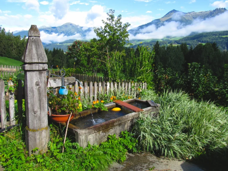Fontana in legno con fiori e montagne sullo sfondo