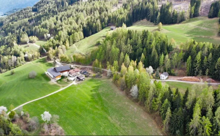 Veduta dall’alto dei prati e del bosco intorno al maso Hofer Hof