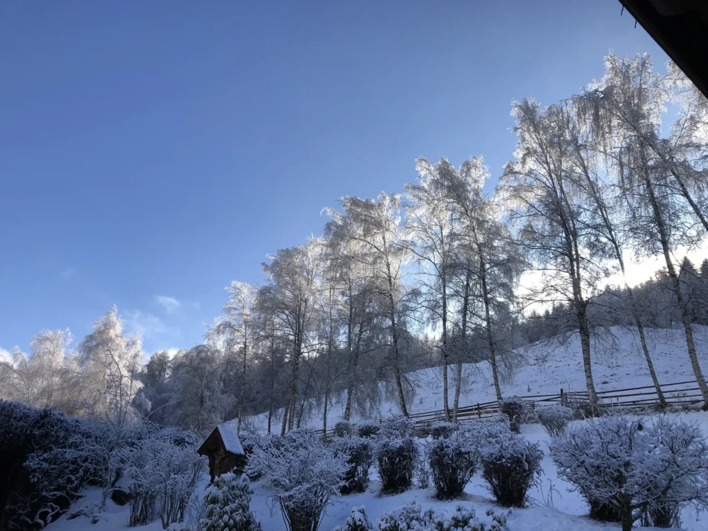 Alberi innevati e cappella nel paesaggio invernale del maso Hofer Hof